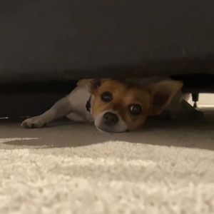 日本裸体美女大学生大自然性爱
